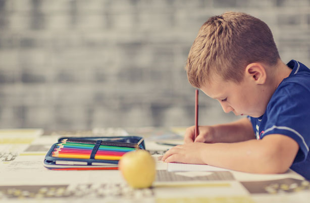 Boy doing homework, studying