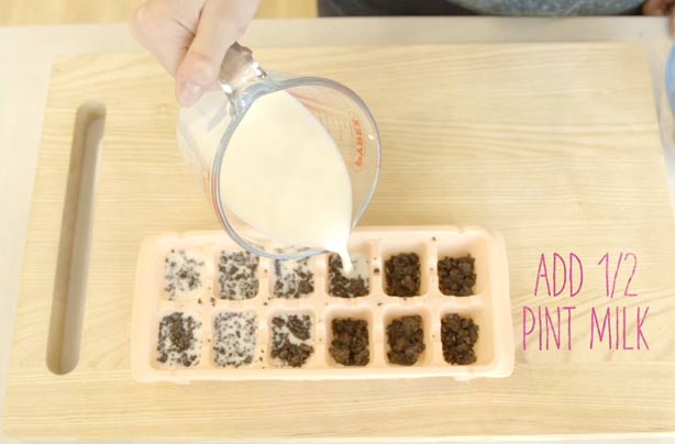 Food hack: How to make milk and cookies ice cubes Food hack: How to make milk and cookies ice cubes