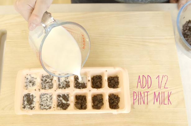 Food hacks: How to make milk and cookies ice cubes Food hacks: How to make milk and cookies ice cubes