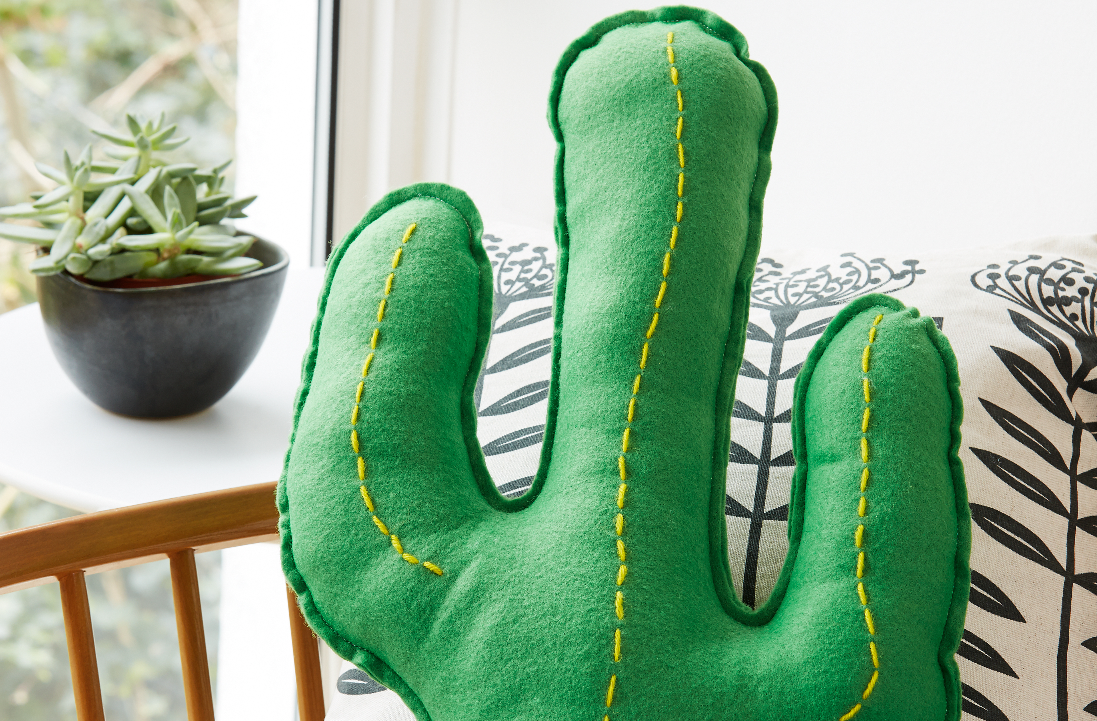 cactus cushion