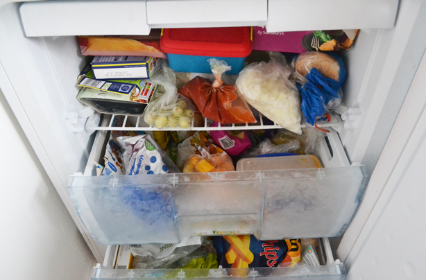 Eat every bite: How to feed a family with no food waste
