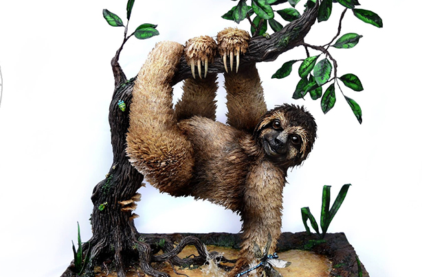 Sloth cake Sloth cake