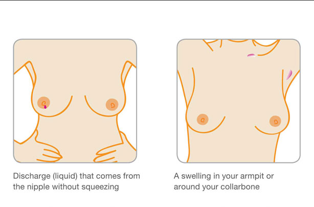 What Happens To Your Breasts When You Are Pregnant 105