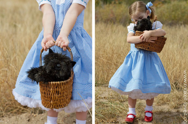 Wizard of Oz World Book Day Costume Wizard of Oz World Book Day Costume