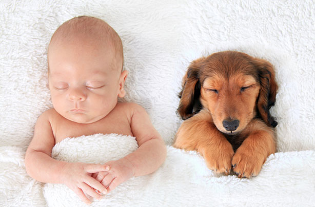 Best baby apps for new mums Best baby apps for new mums