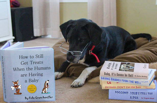 Pregnancy announcements ideas Pregnancy announcements ideas