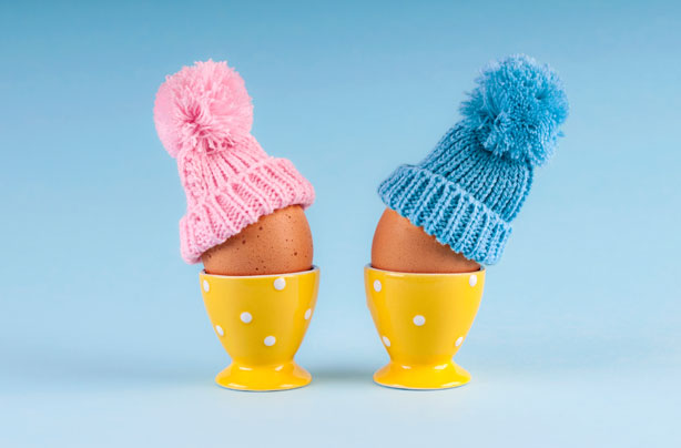 fertility diet eggs