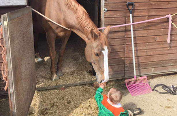 Katie Price Bunny horse manure