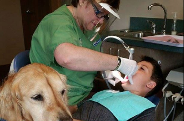 Dentist-JoJo