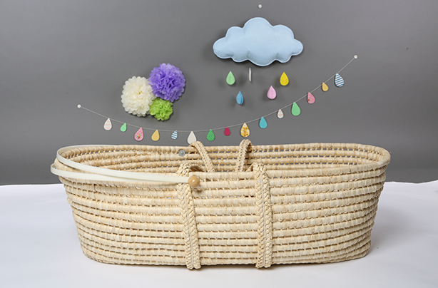 19 weeks pregnant, moses basket, baby
