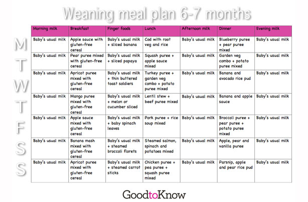10 Month Baby Diet Plan