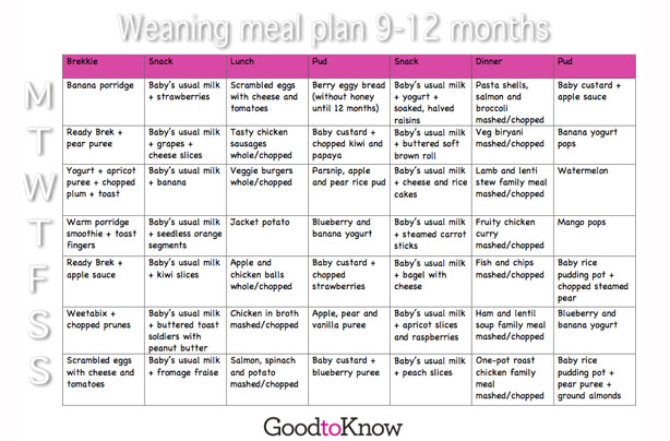 10 Month Baby Diet Schedule