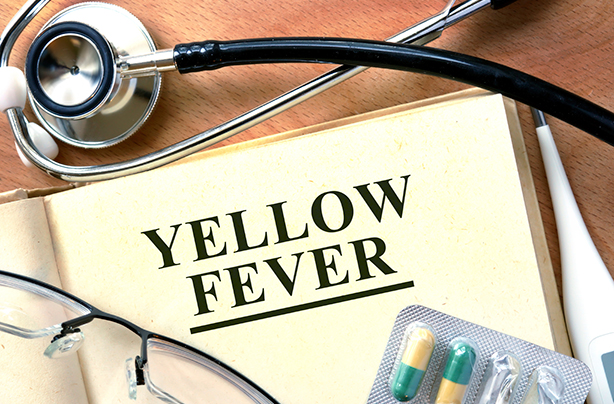 Yellow Fever