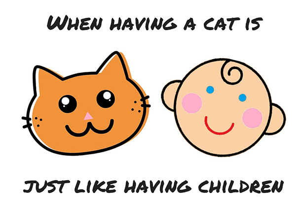 When having a cat is just like having children