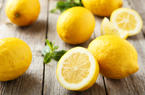 lemon hacks uses diy