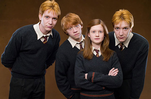 Harry Potter Weasley