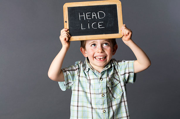 How to get rid of head lice