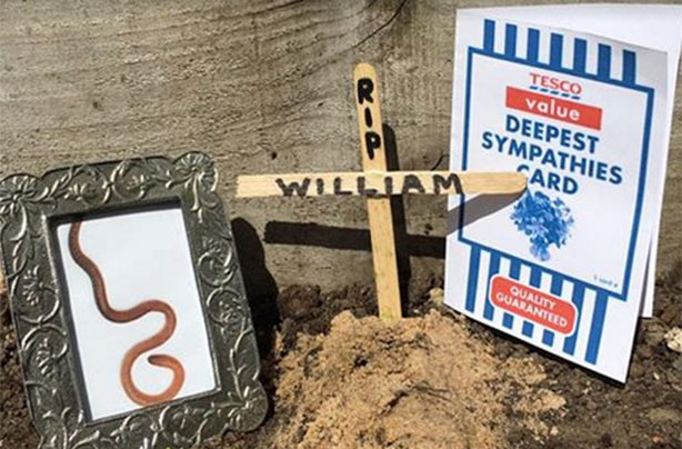 William the worm