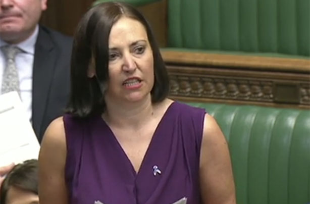 MPs discss baby loss