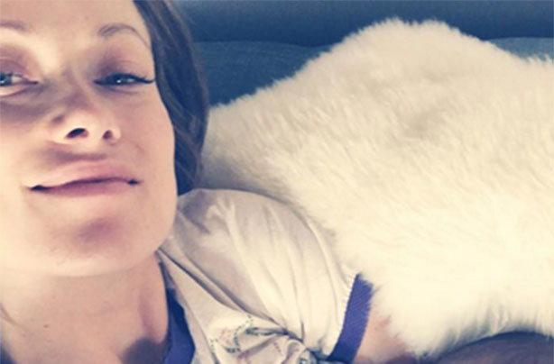 Olivia Wilde breastfeeding
