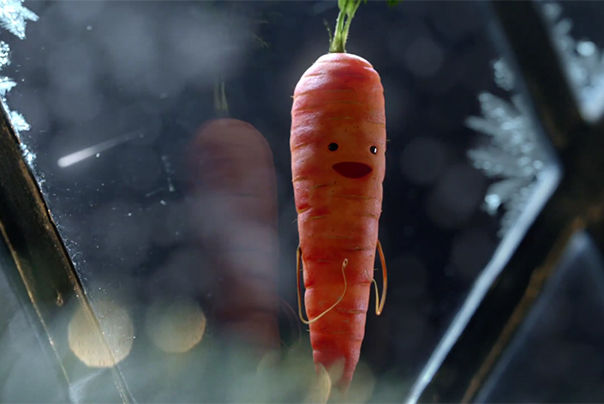 Aldi christmas advert 2016 kevin carrot