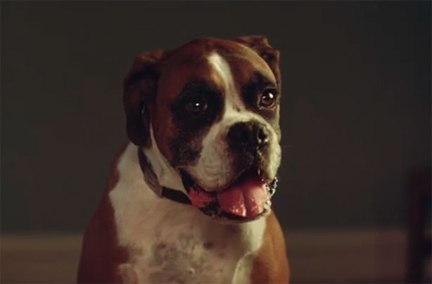 John Lewis advert