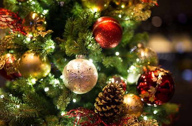 why do we have a christmas tree the real meanings behind why do we have a christmas tree the real meanings behind