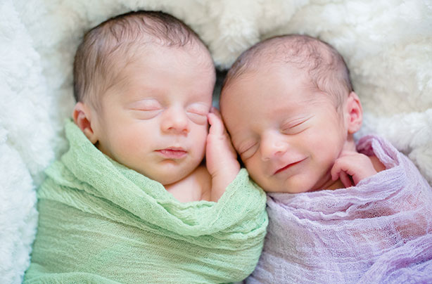Superfetation 2