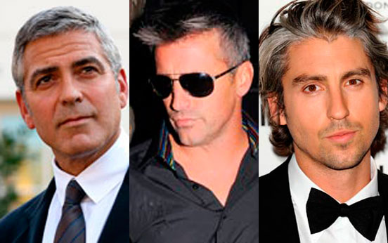 Top 25 silver foxes - goodtoknow